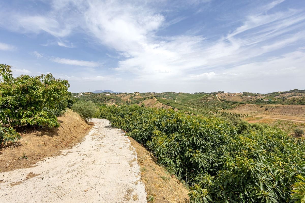 Alhaurín el Grande, Costa del Sol, Málaga