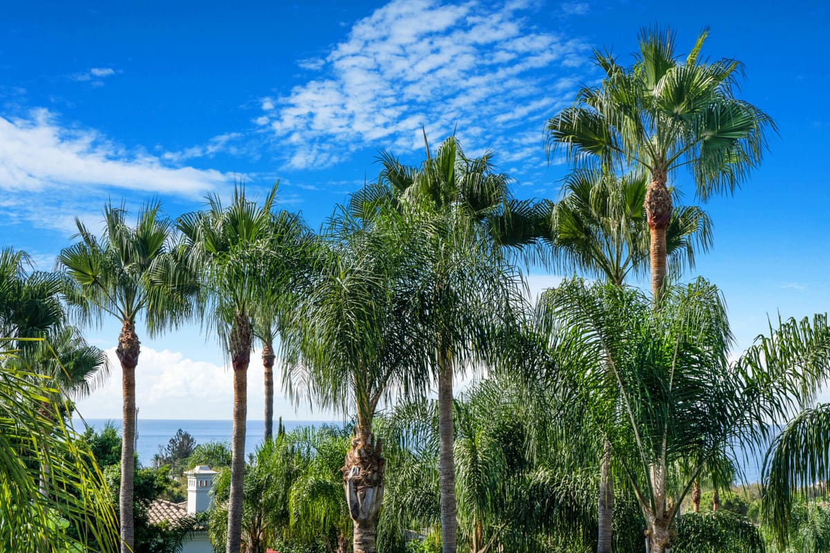 The Golden Mile, Costa del Sol, Málaga