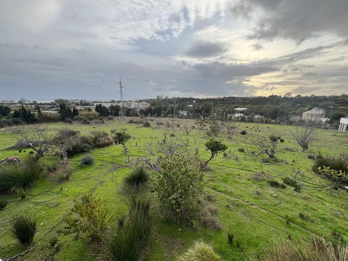 Estepona, Costa del Sol, Málaga