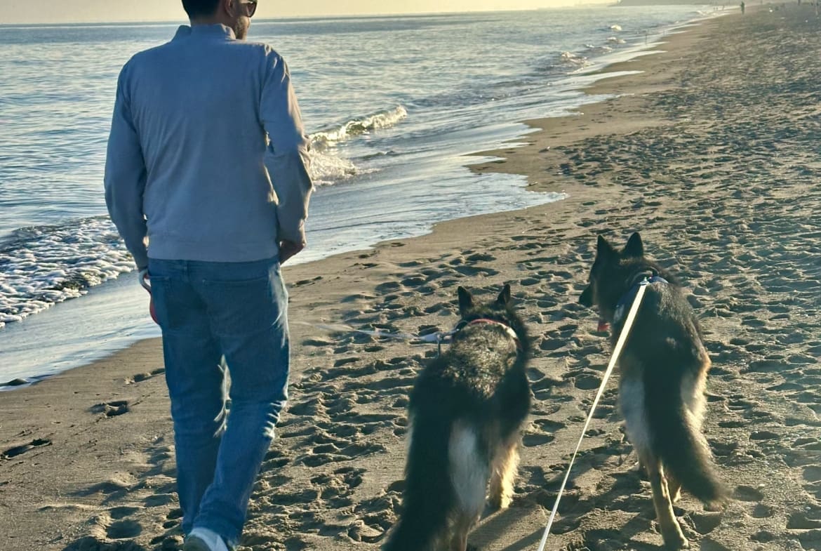 Wandeling met twee Duitse herders aan de lijn langs het strand aan de Costa del Sol