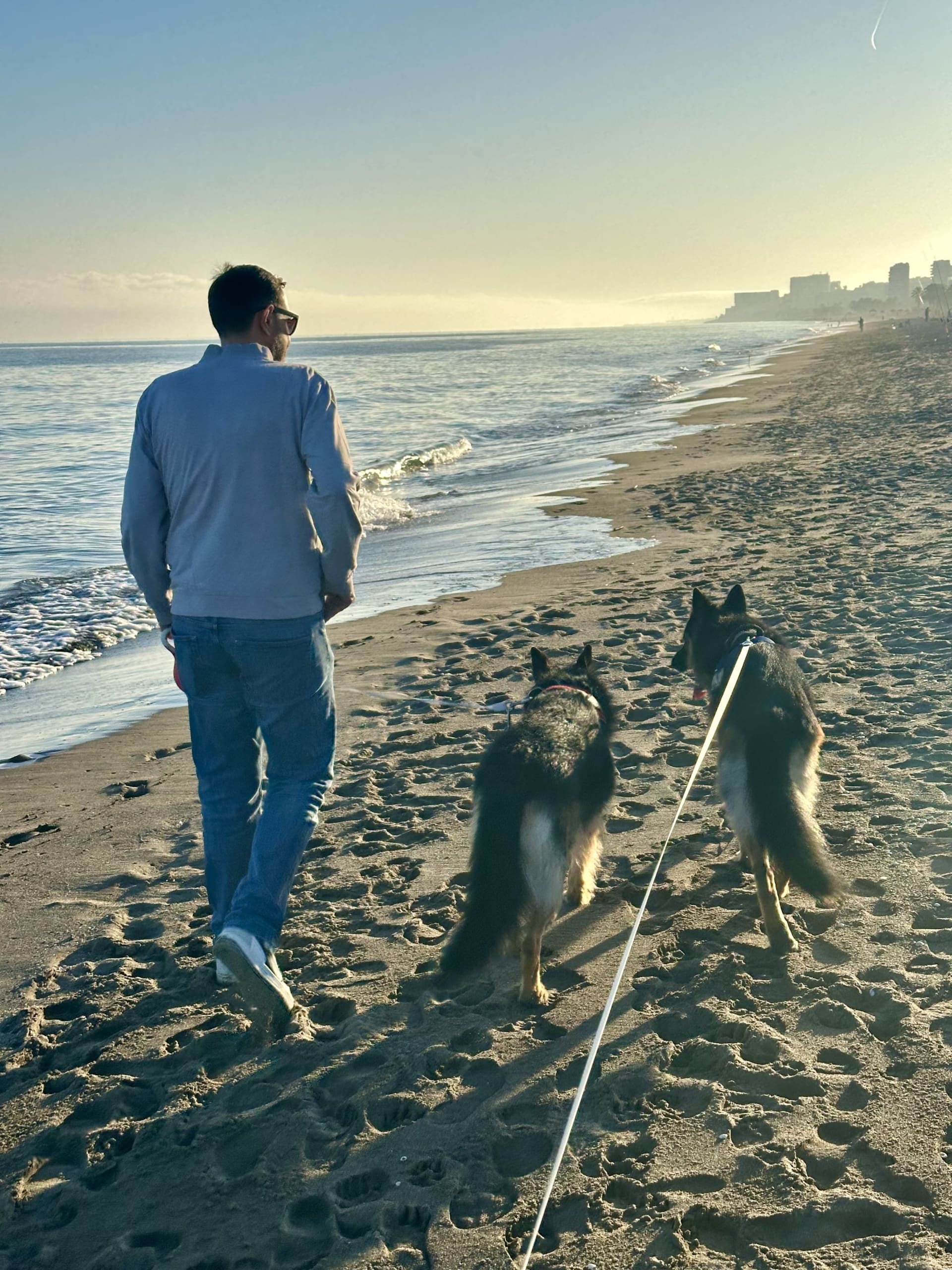 A walk with two German Shepherds on a leash along the beach on the Costa del Sol